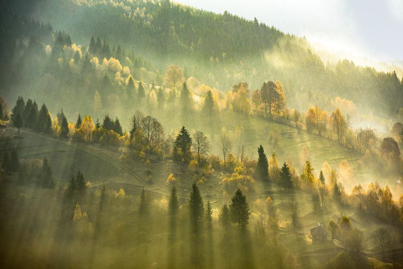 Лучи, которые греют землюphoto preview