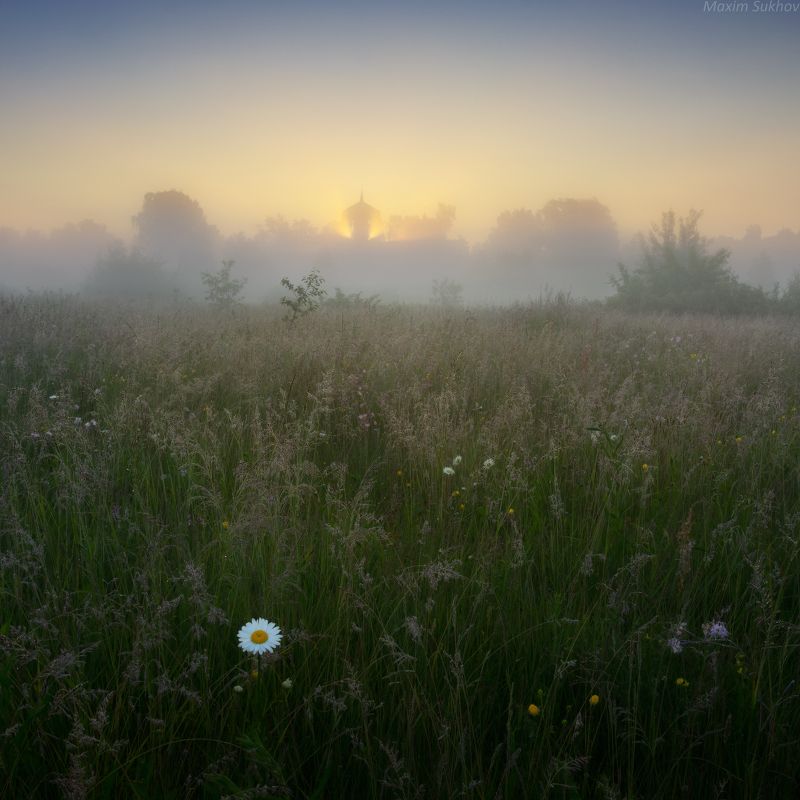 ромашки, цветы, утро, туман, солнце, храм, лучи, церковь, поле, лес Тихое одиночествоphoto preview