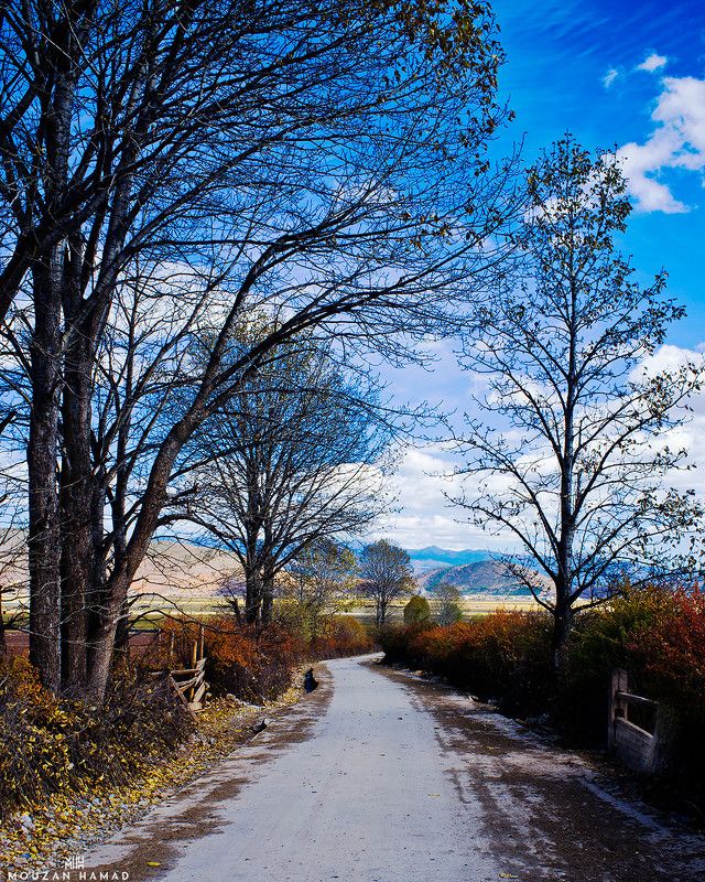 travel, landscape, fujifilm,nature on the wayphoto preview