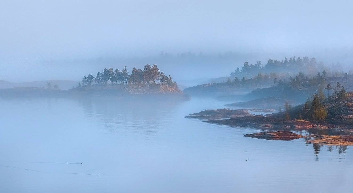 Там, за туманами. Автор: Лашков Фёдор ладожское озеро, карелия, шхеры, лето, туман, скалы, лес, берег, фототур, остров, камни, путешествие, плавание, вода,, Лашков Фёдор