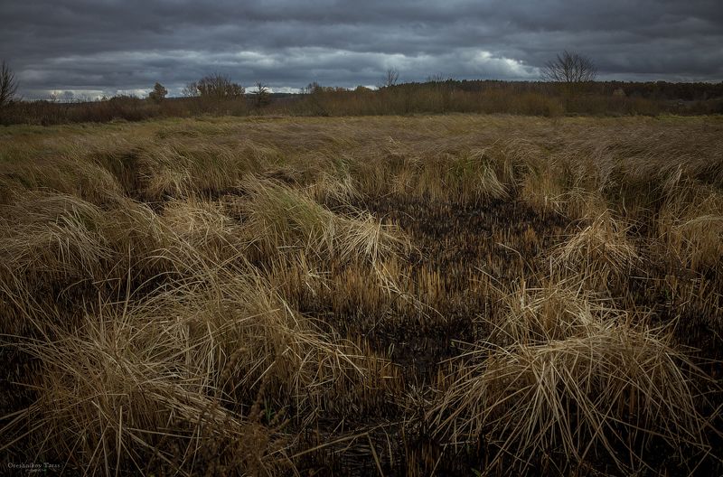 пейзаж,природа,осень,рассвет,утро, photo preview