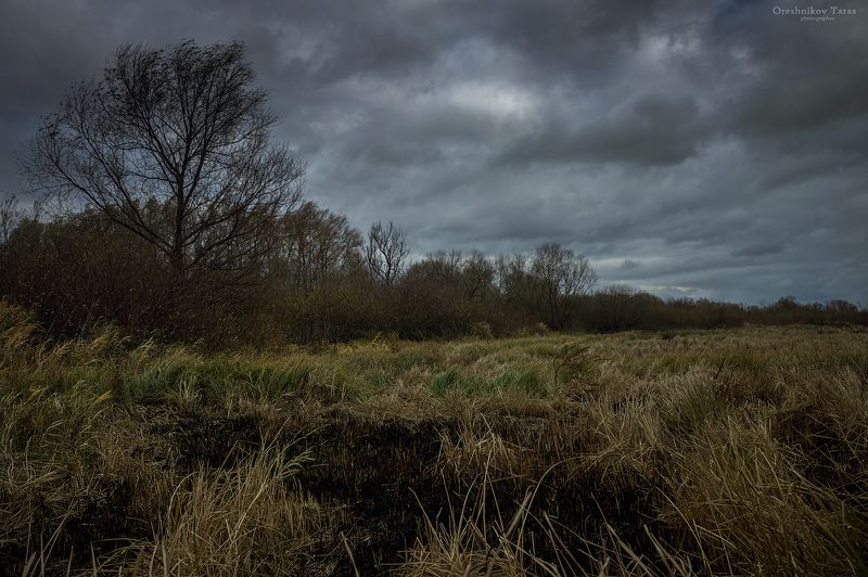 пейзаж,природа,осень,рассвет,утро, photo preview