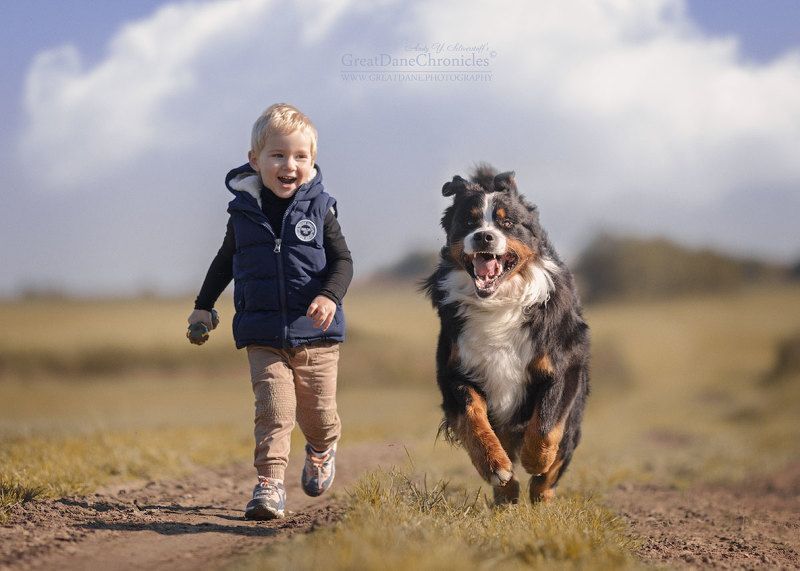 Quickly run, even faster!photo preview