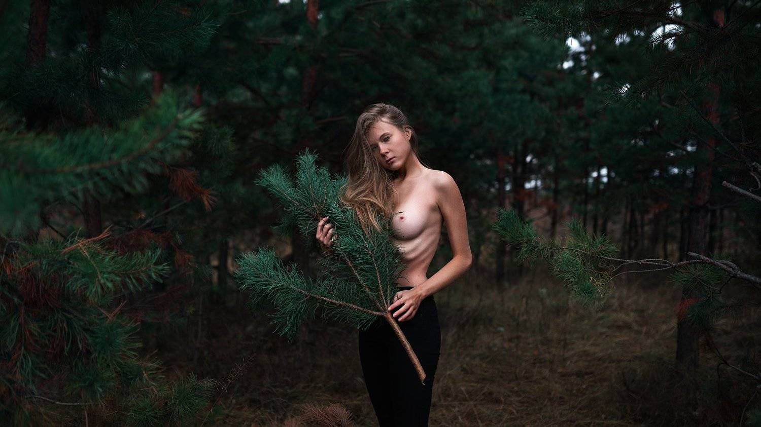 , Максим Густарев