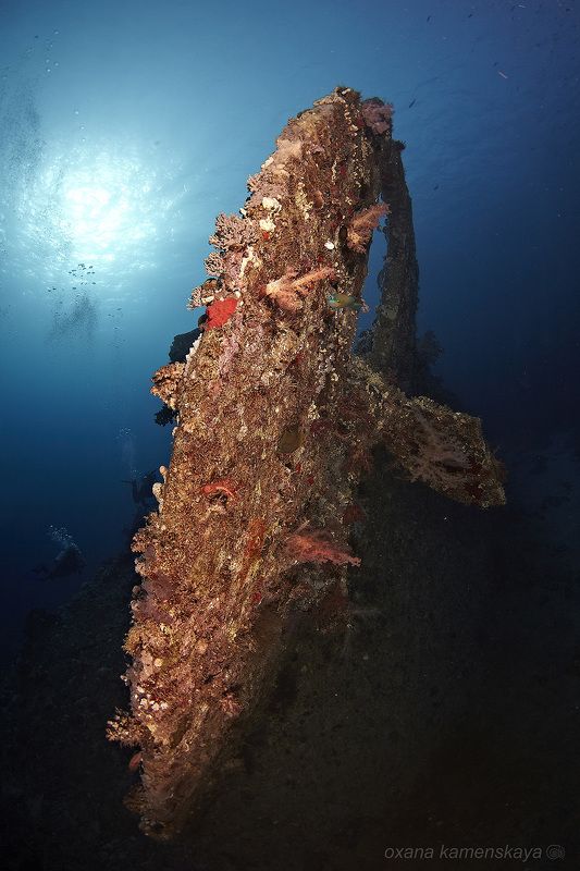 SS Dunraven. Корма и винт.photo preview