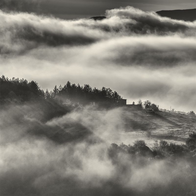 Туманное утро фото превью