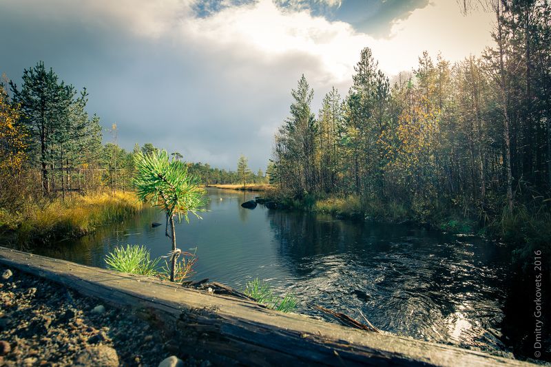 #карелия #пейзаж #karelia #landscape #photobydmitrygorkovets Безымянный ручей. Noname stream. Karelia. Russia, autumn 2017.  photo preview