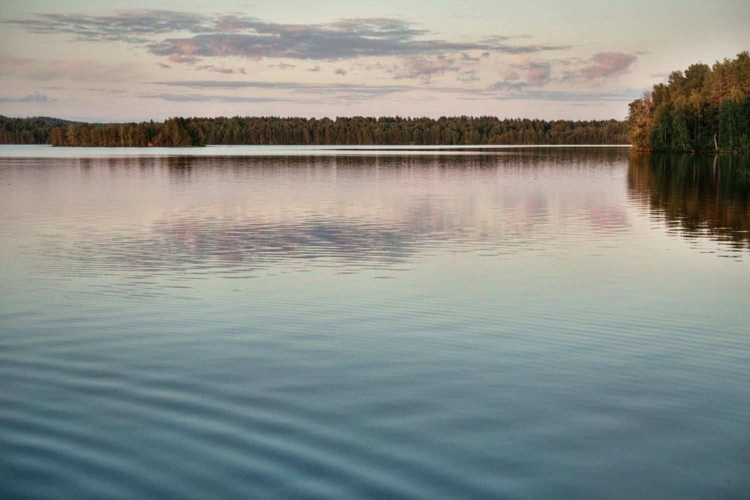 Солнце на вечер. Автор: Eland , Eland