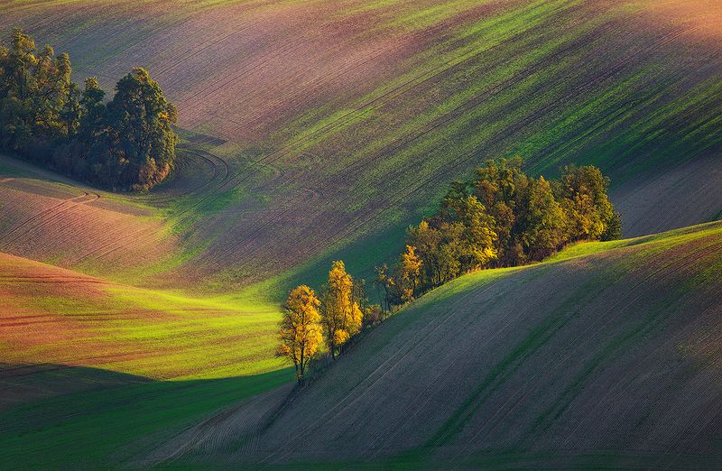 Colors of autumnphoto preview