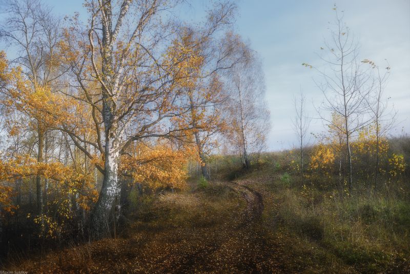 осень, березы, дорога, небо, листья, грязь, клязьма Вдоль дороги осень...photo preview