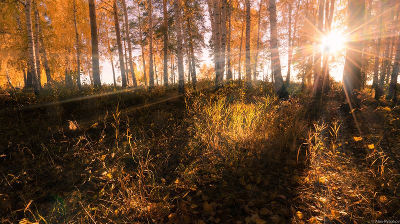 Теплоphoto preview