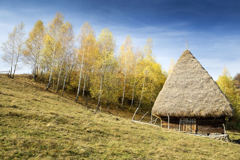 house,autumn,colors,fall,trees,hills,apuseni Old housephoto preview