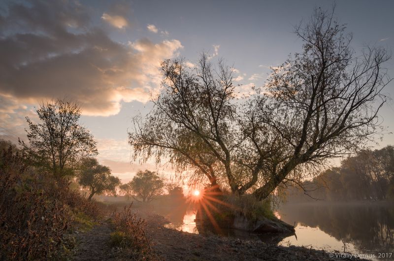 река, рассвет, осень, отражения, солнце, свет, дерево, деревья, дымка На берегу очень тихой реки...photo preview