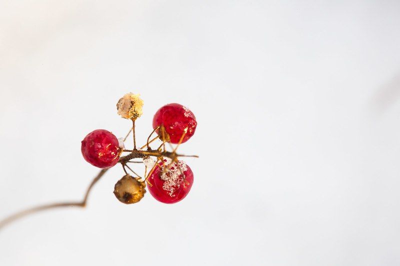 тишинаphoto preview