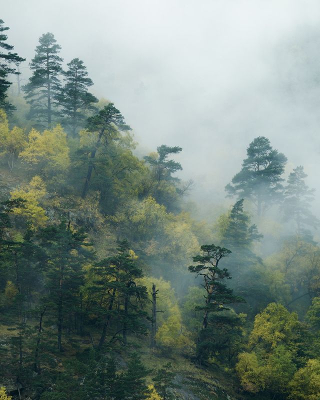 россия, кавказ, северная осетия, горы, ущелье, дигория, рассвет, сумерки, природа, хребет, скалы, небо, река, ледник, туман, облака Там за туманами...photo preview