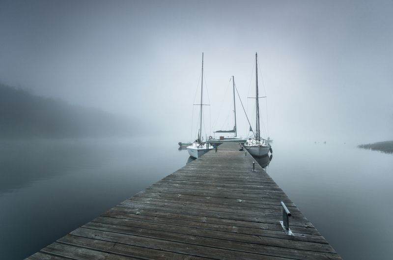 In the fogphoto preview