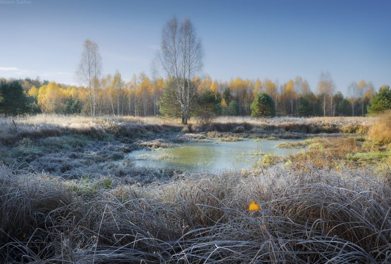 озеро, иней, трава, осень, заморозки, утро, холод, предзимье Морозное утроphoto preview