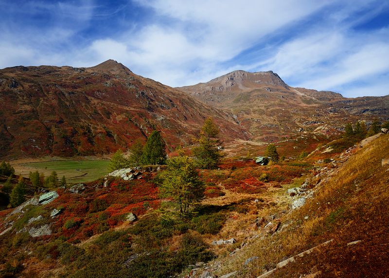 перевал симплон, альпы crimson carpetsphoto preview