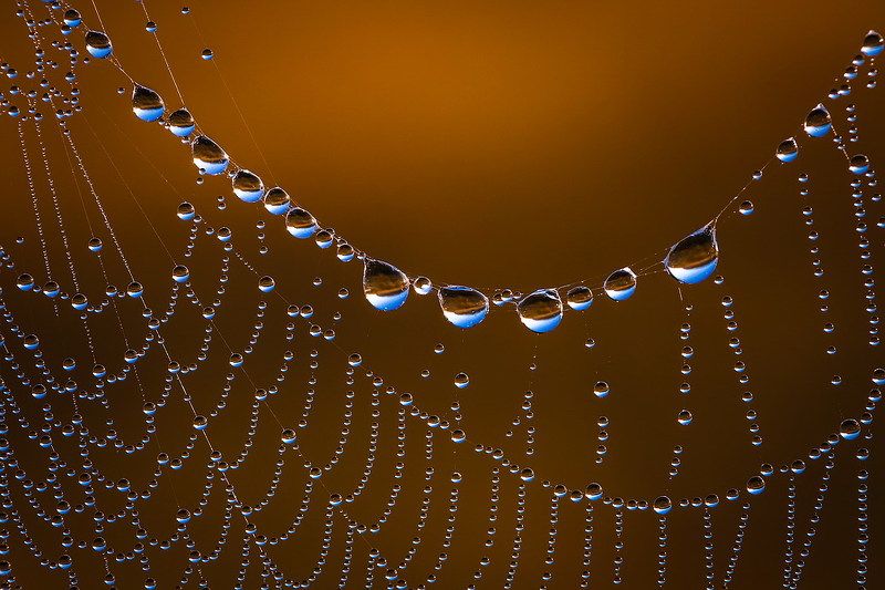 Рассветphoto preview