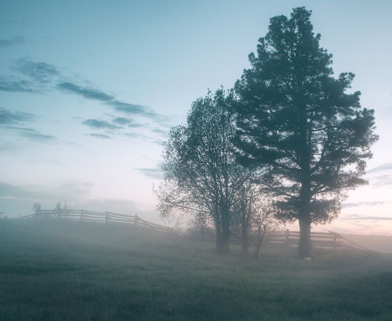 Туман на закате дня.photo preview