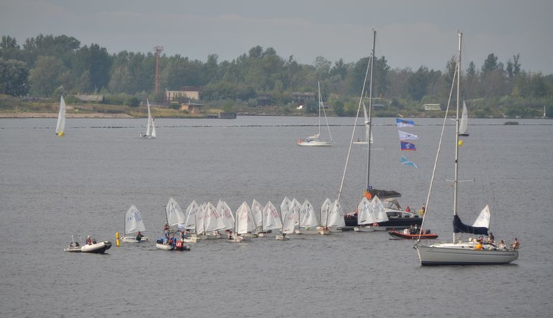 Цып-цып-цып...photo preview