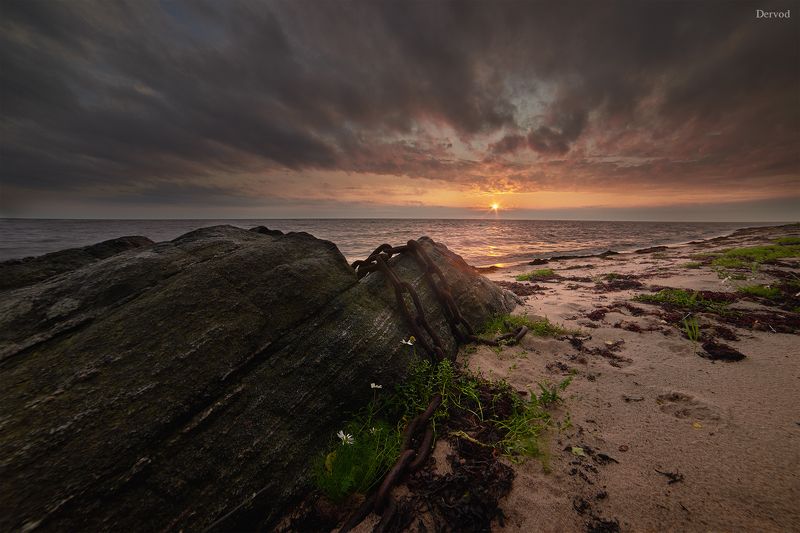 #dervod #drevo Онежский берегphoto preview