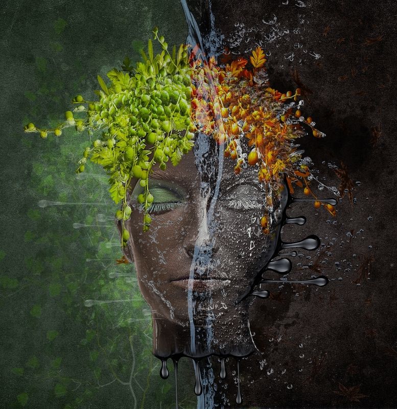 Metomorphosisphoto preview