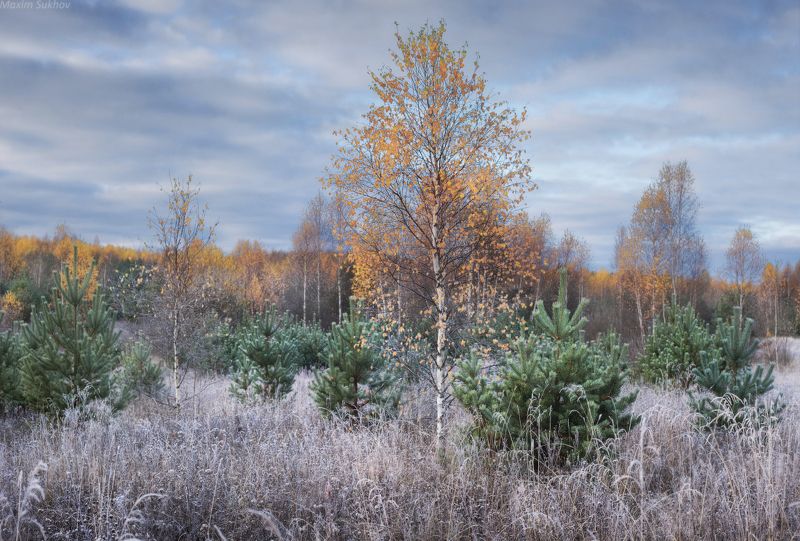 озеро, трава, осень, заморозки, утро, холод, иней, тучи Прохлада осеннего утраphoto preview