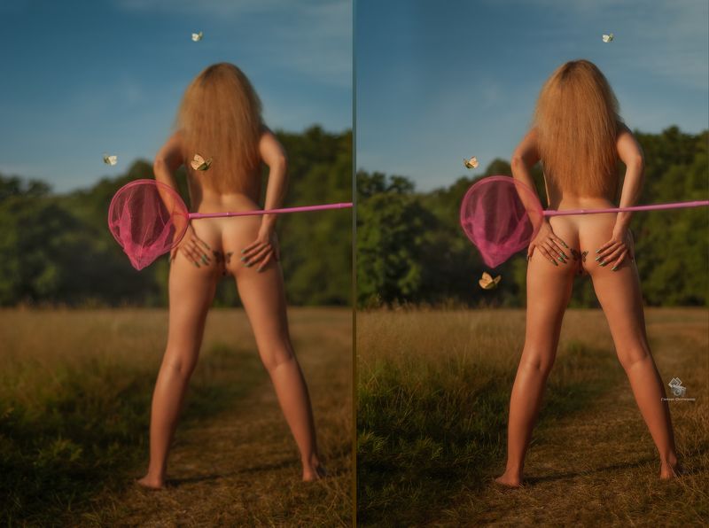 За бабочками...(2)photo preview