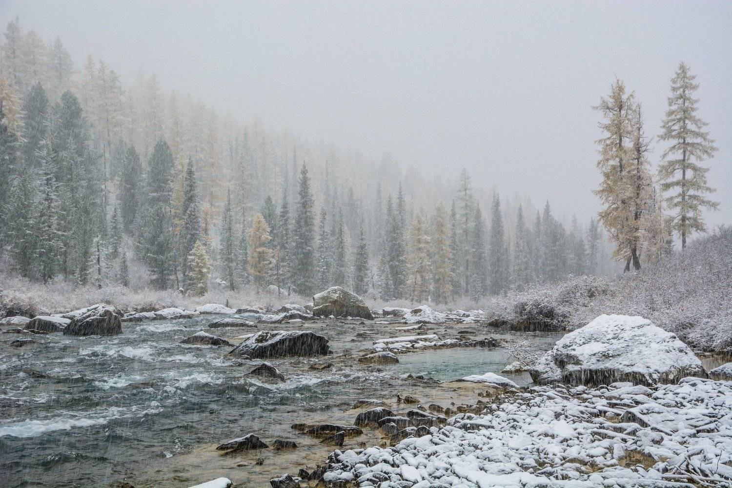 алтай,осень, Алексей Кретов