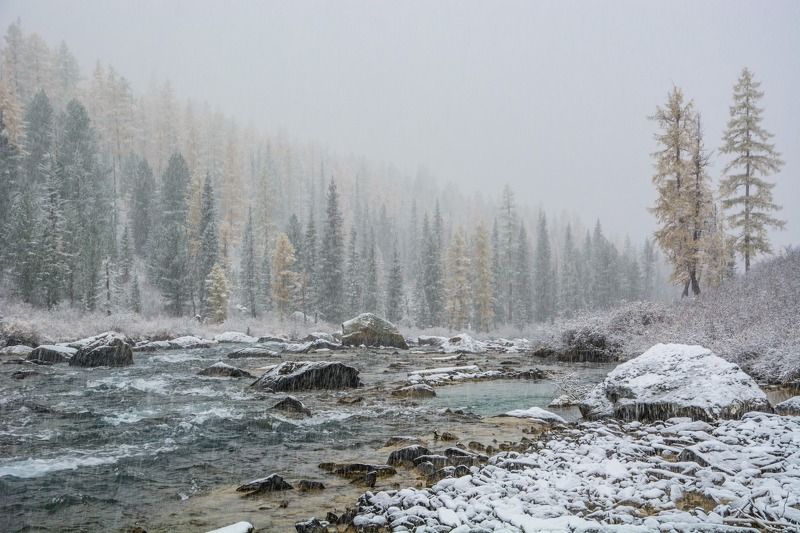 алтай,осень не лётная погодаphoto preview