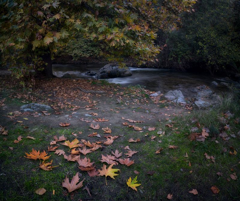 Есенphoto preview