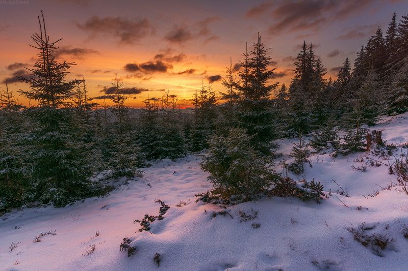 Sunrisephoto preview