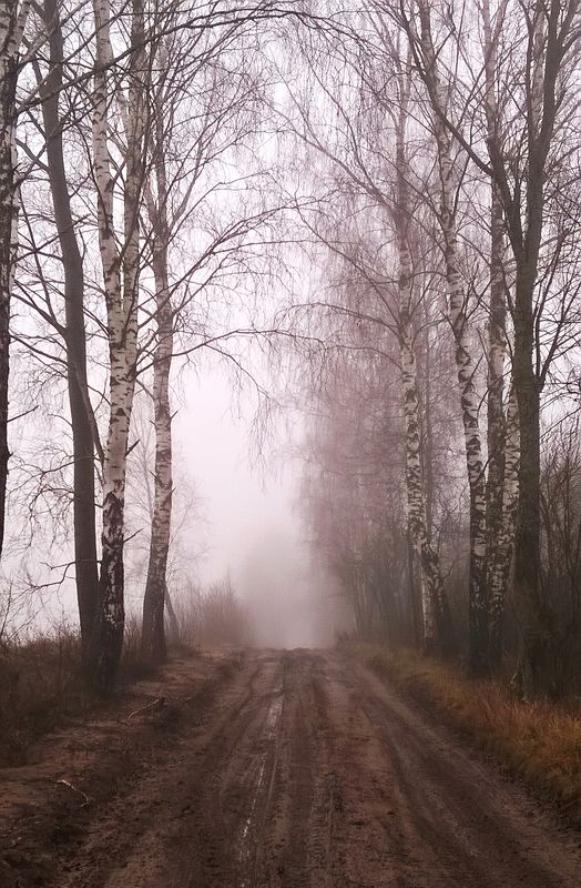 frog, nature, tree, day Frogphoto preview