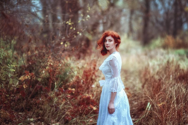 Autumn moodphoto preview