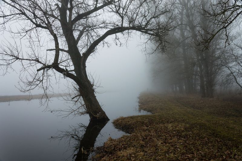 . . . фото превью