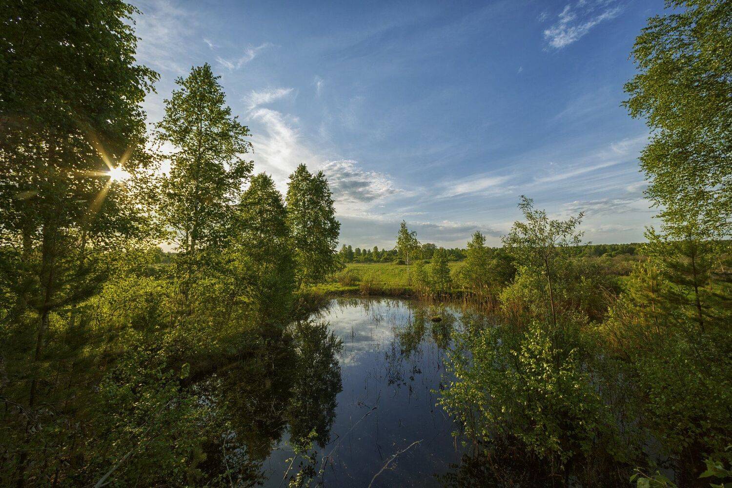 , Шевченко Николай