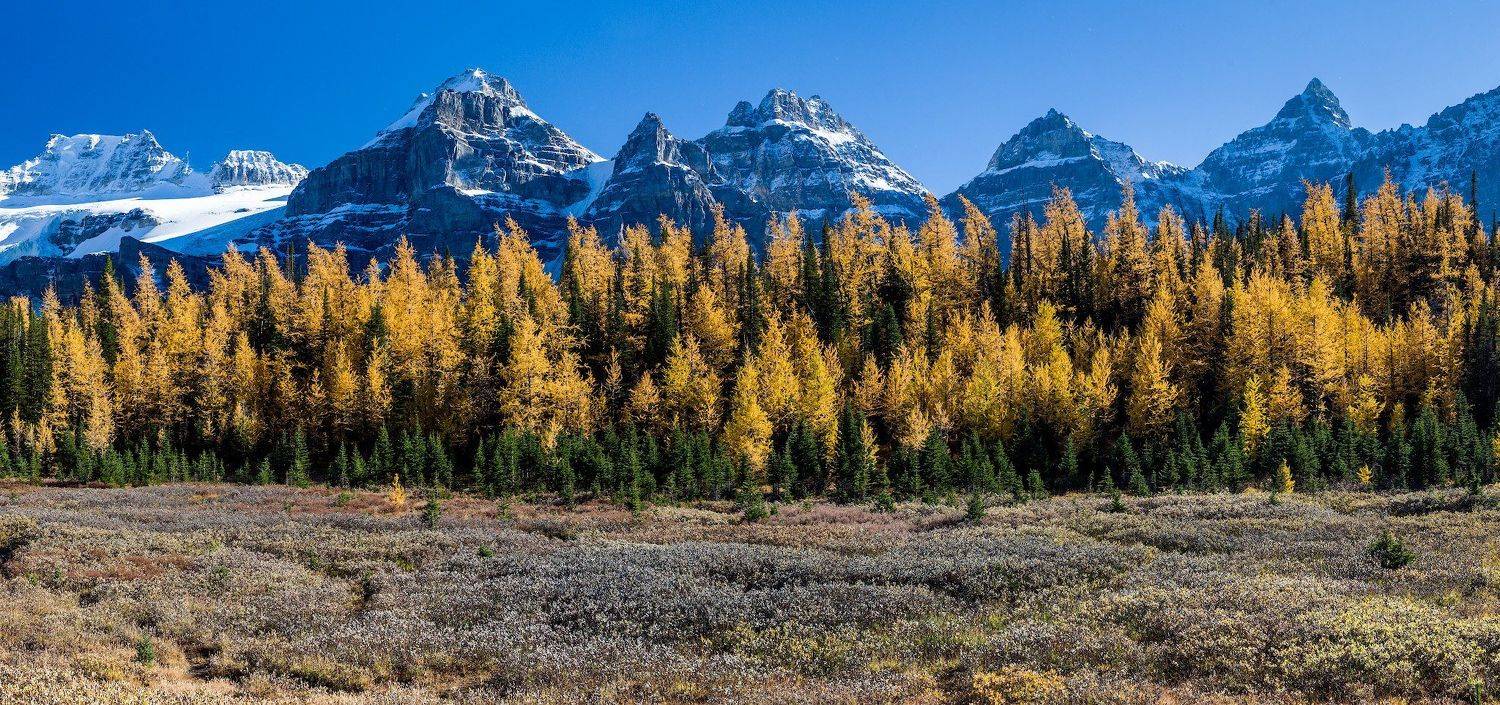Канада, Скалистые горы, Банф, осень, пейзаж, Сергей Пестерев