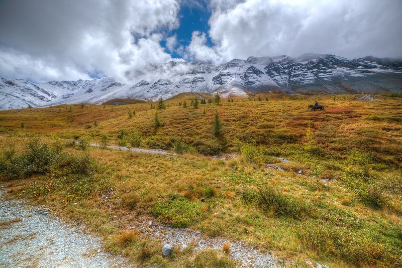 Прогулка утромphoto preview