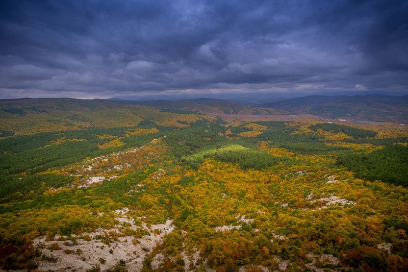 осеньphoto preview