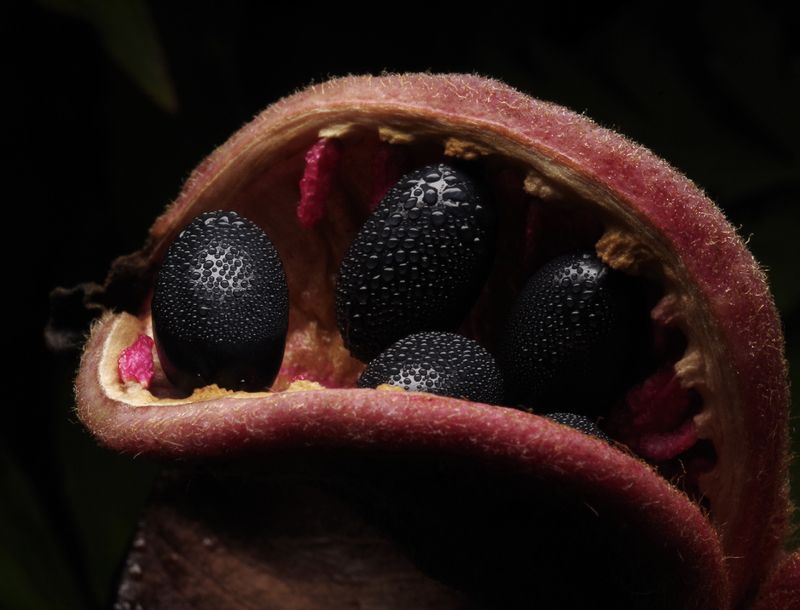 Улыбкаphoto preview