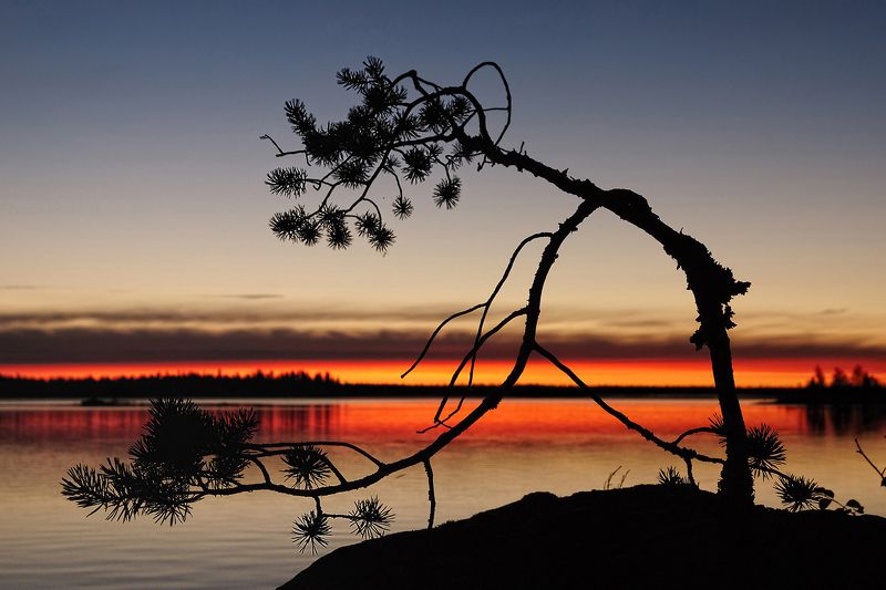 карелия, охта, воронье, озеро, d80 Карельское графити фото превью