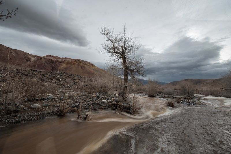 Алтай, пейзаж, горы Весна на Алтаеphoto preview