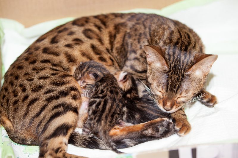 mr.filler Ну вот и дождались :)photo preview