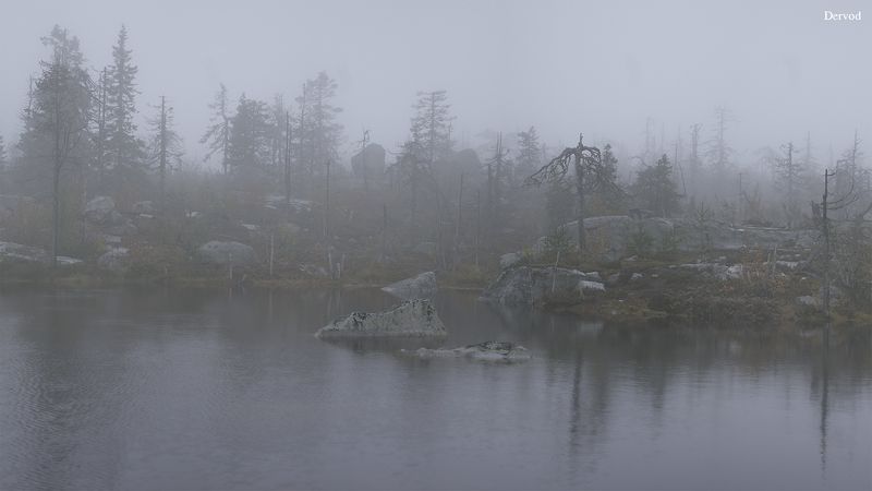 #dervod #drevo Вершина горы Воттоваара.photo preview