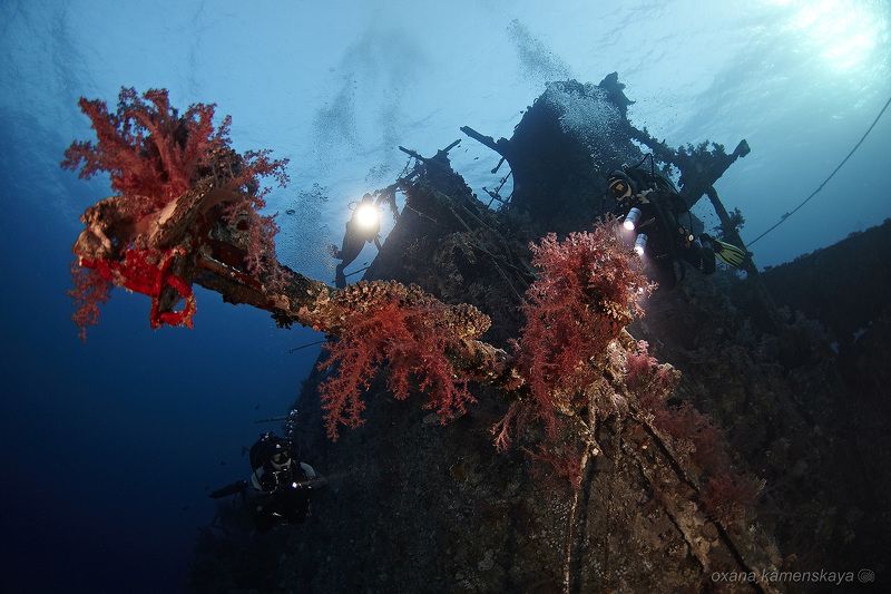 Kimon M Wreck Kimon M. photo preview