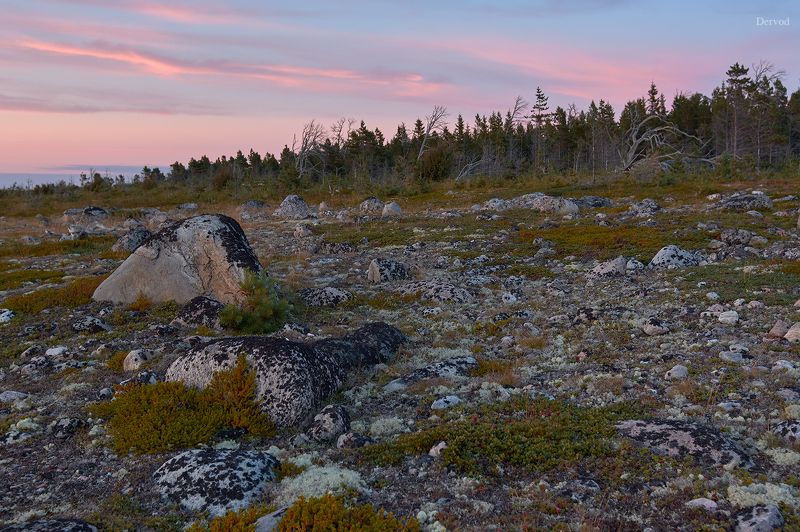 #dervod Большой Соловецкий остров.photo preview