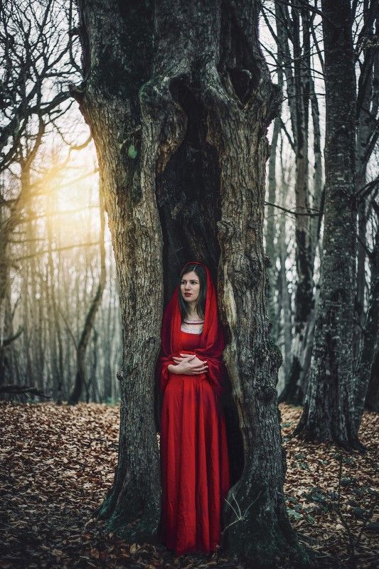 art  Olenaphoto preview