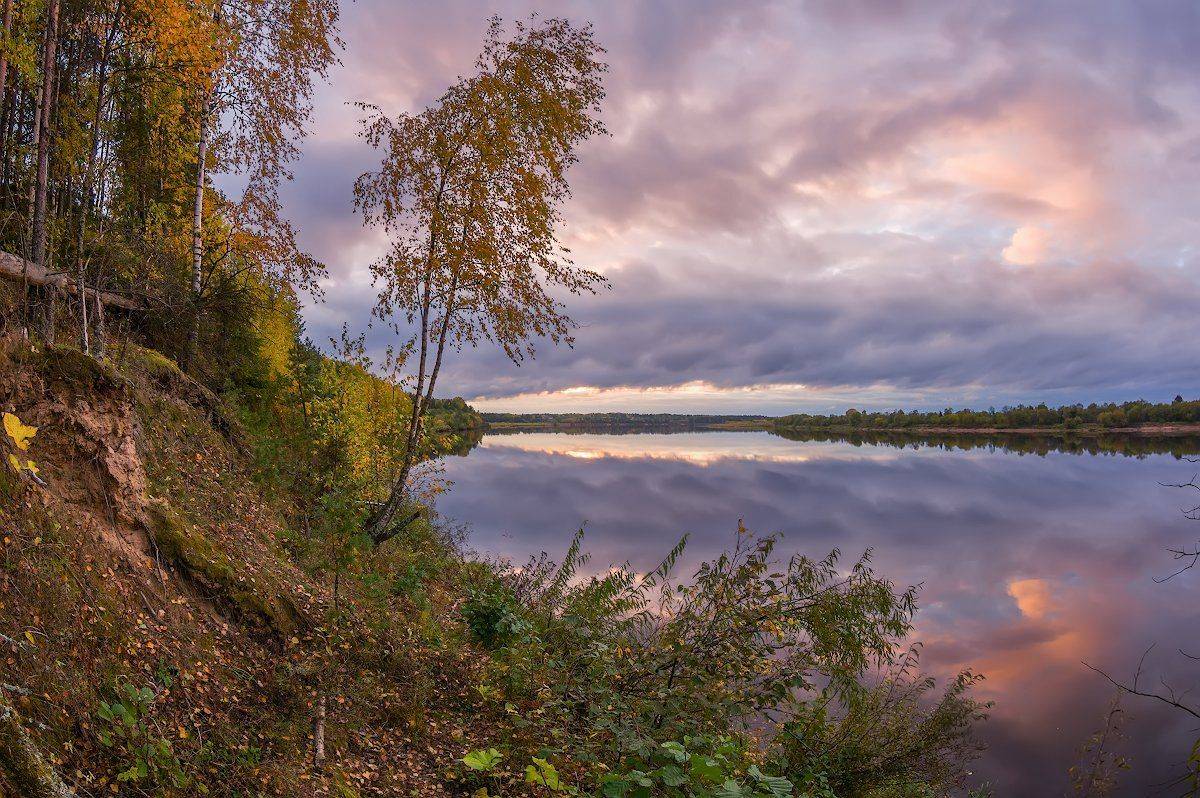 тихая песня осени ). Автор: Марина Мурашова река осень березы вечер, Марина Мурашова