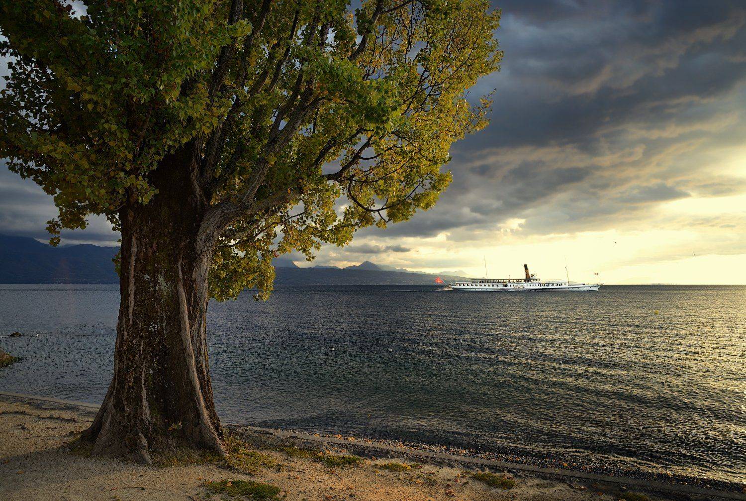 женевское озеро, suisse, Olga N.